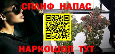 шишки Абинск