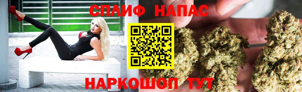 Конопля AK-47 Россия